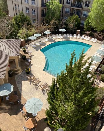 Resort style saltwater pool